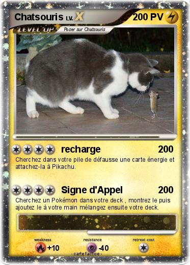 Pokemon Chatsouris