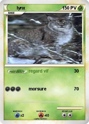 Pokemon lynx