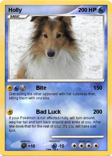 Pokemon Holly