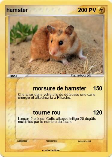 Pokemon hamster