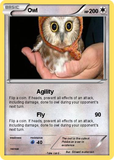 Pokemon Owl