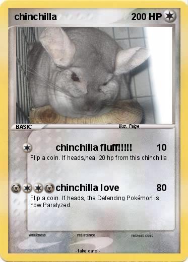 Pokemon chinchilla