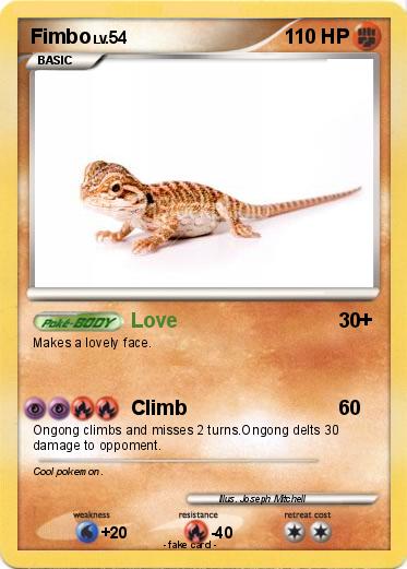 Pokemon Fimbo