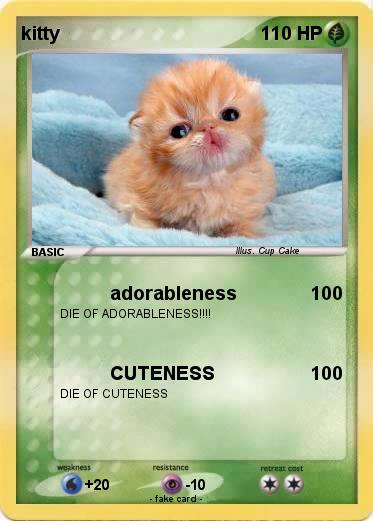 Pokemon kitty
