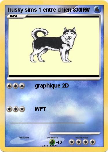 Pokemon husky sims 1 entre chien & chat