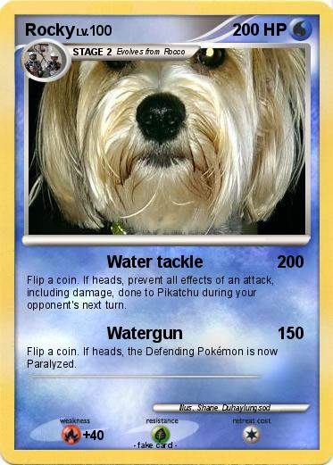 Pokemon Rocky