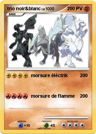 Pokemon trio noir&blanc