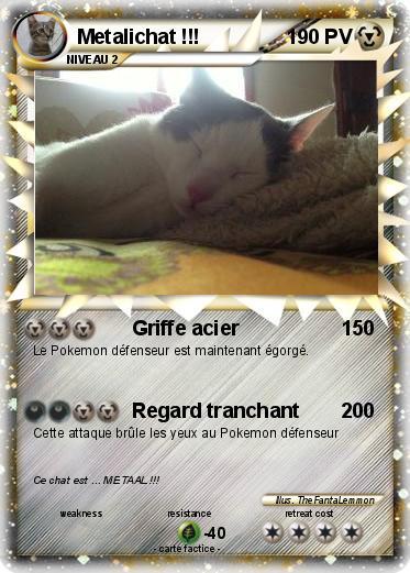 Pokemon Metalichat !!!