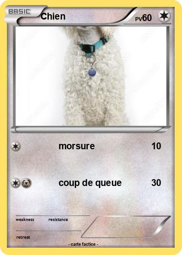 Pokemon Chien