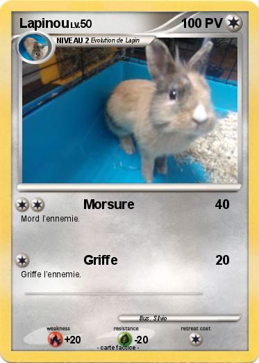 Pokemon Lapinou