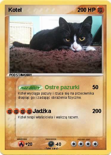 Pokemon Koteł