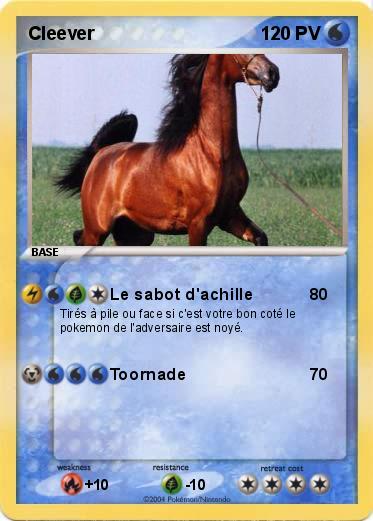 Pokemon Cleever