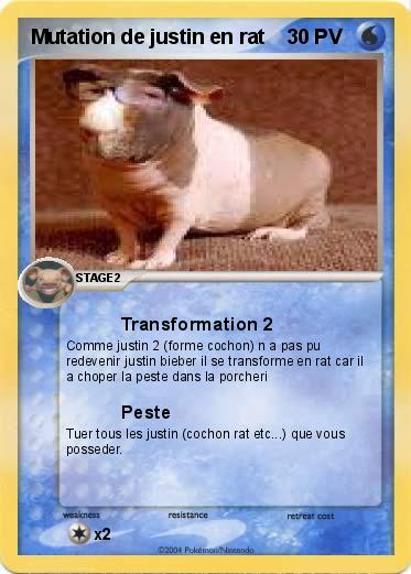 Pokemon Mutation de justin en rat