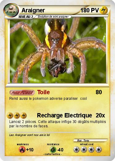 Pokemon Araigner