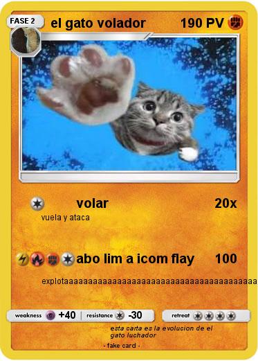 Pokemon el gato volador