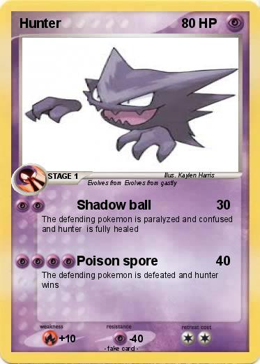 Pokemon Hunter