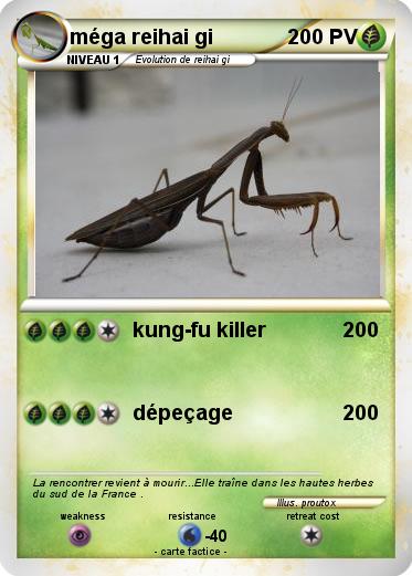 Pokemon méga reihai gi
