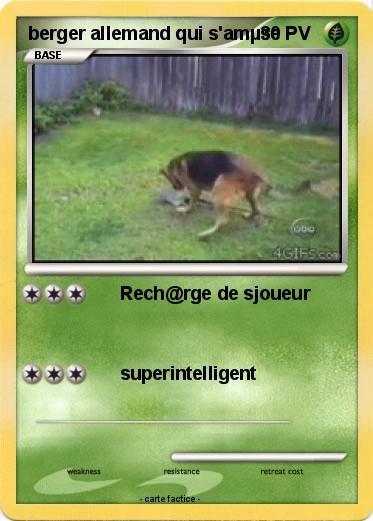 Pokemon berger allemand qui s'amµse