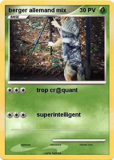 Pokemon berger allemand mix