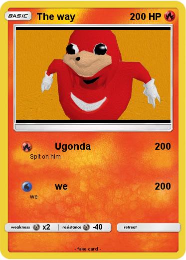Pokemon The way