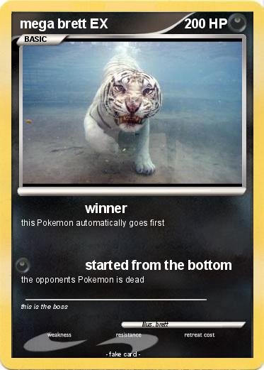Pokemon mega brett EX