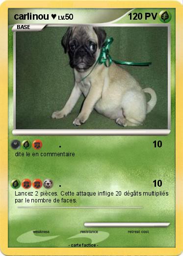 Pokemon carlinou ♥