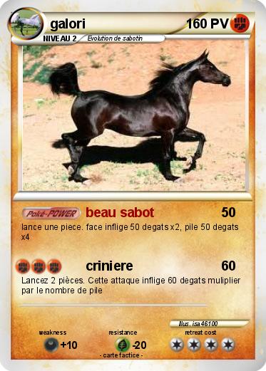 Pokemon galori