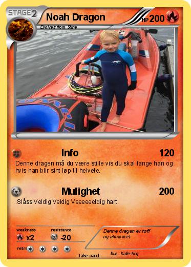 Pokemon Noah Dragon