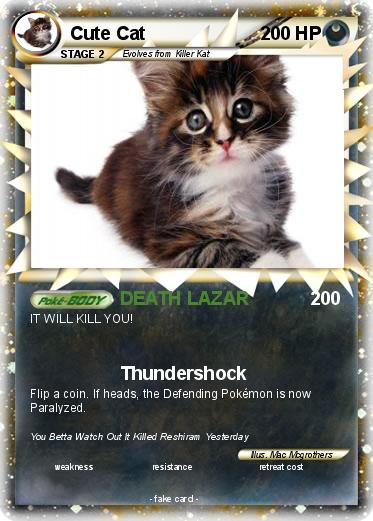 Pokemon Cute Cat