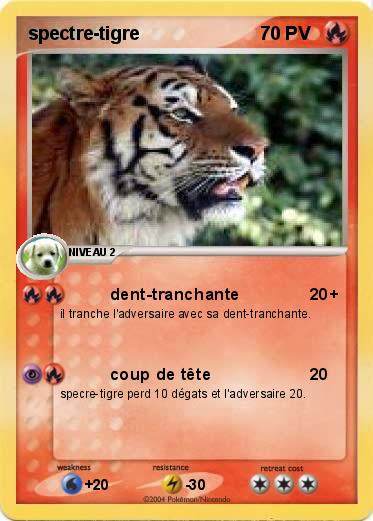 Pokemon spectre-tigre