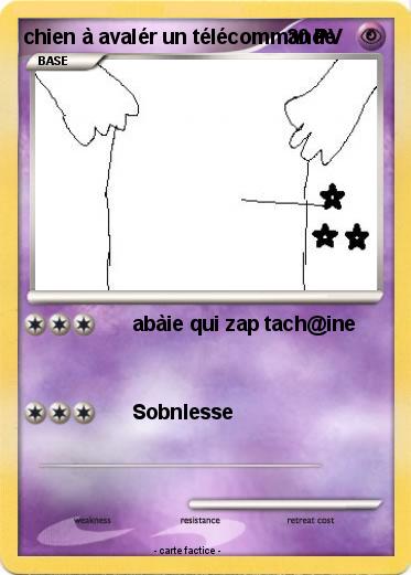 Pokemon chien à avalér un télécommande