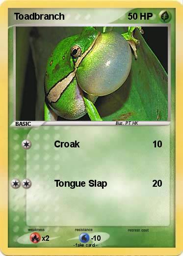 Pokemon Toadbranch