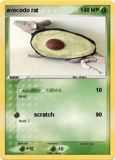 Pokemon avocodo rat