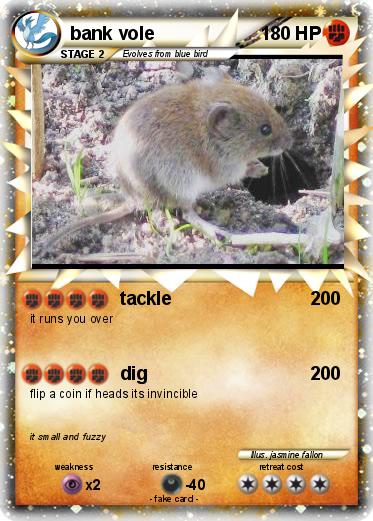 Pokemon bank vole