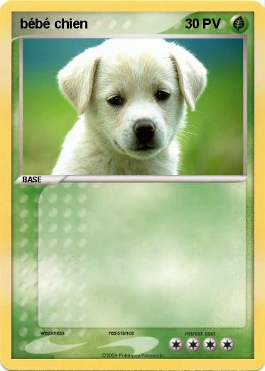 Pokemon bébé chien