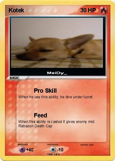 Pokemon Kotek