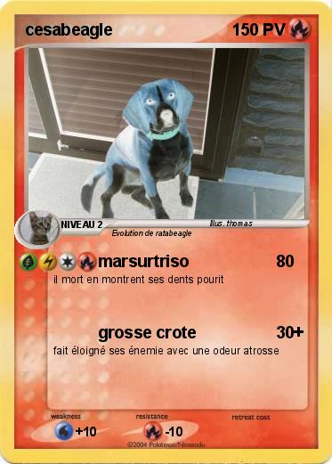 Pokemon cesabeagle