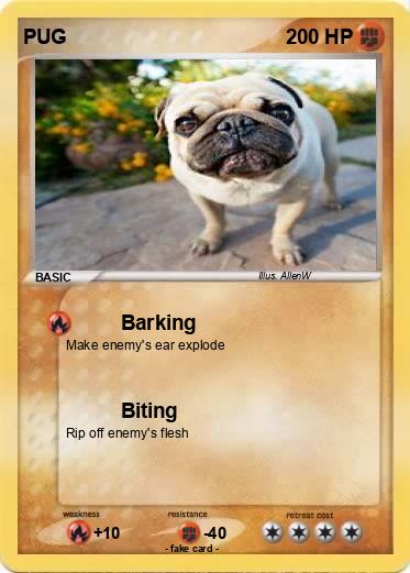 Pokemon PUG