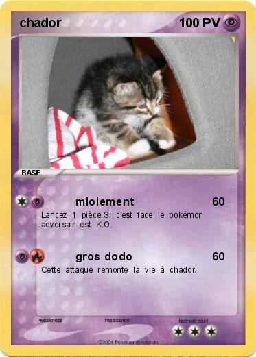 Pokemon chador