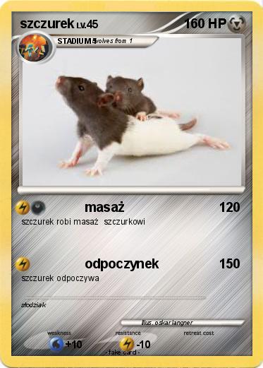 Pokemon szczurek
