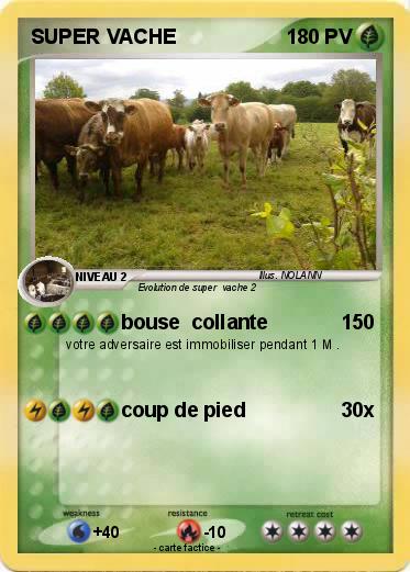 Pokemon SUPER VACHE