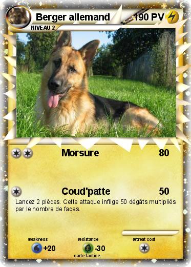 Pokemon Berger allemand