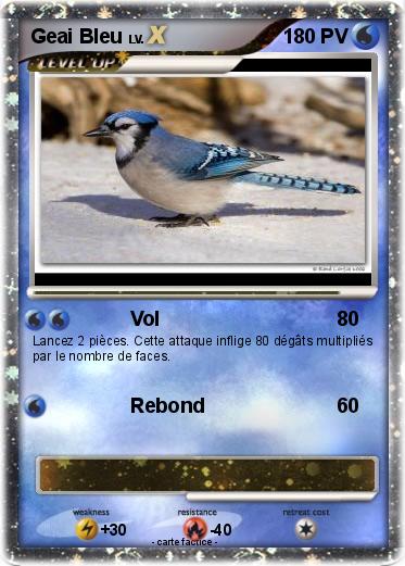 Pokemon Geai Bleu