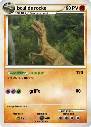 Pokemon boul de rocke