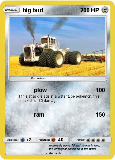 Pokemon big bud