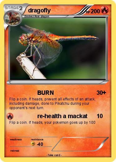 Pokemon dragofly