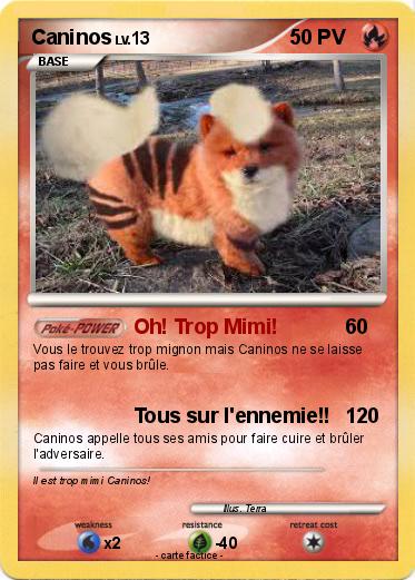 Pokemon Caninos