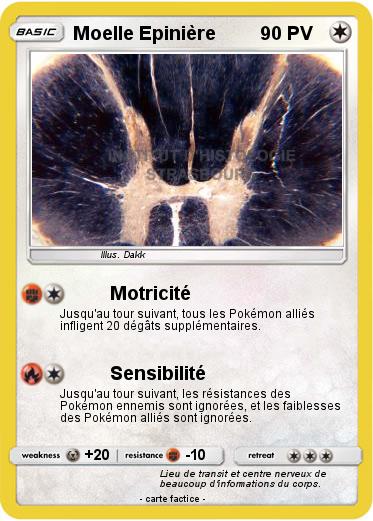 Pokemon Moelle Epinière