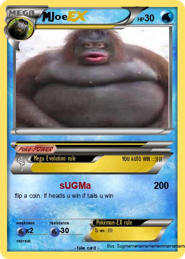 Pokemon Joe