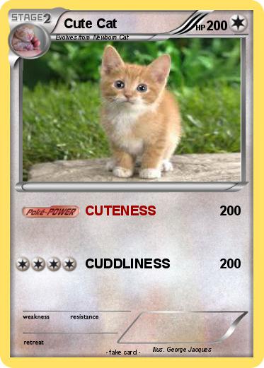 Pokemon Cute Cat